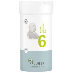 Eine Schüßler-Salze-Packung mit der Nummer 6 von Pflüger.